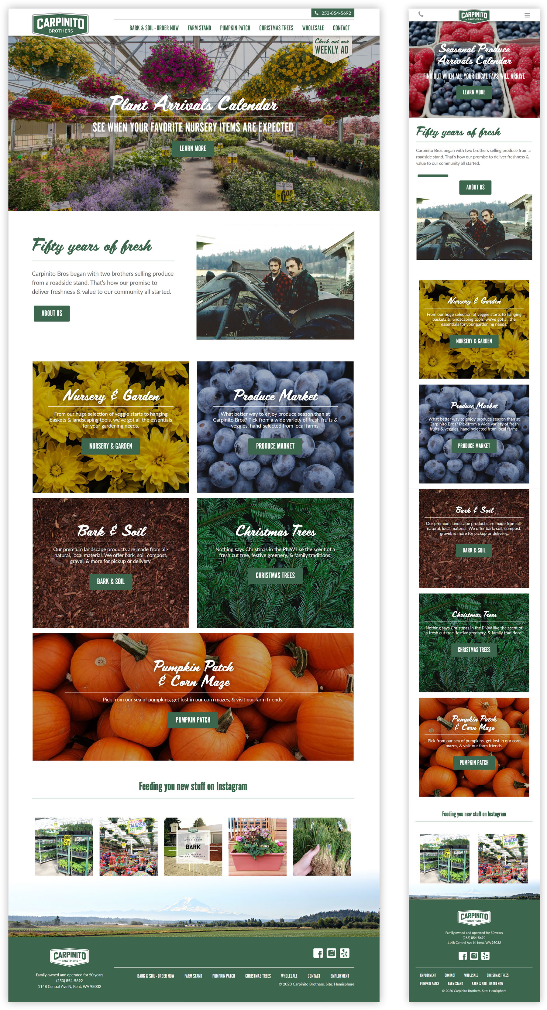 Carpinito website in various formats